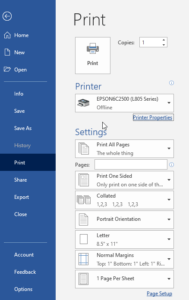 Document Print